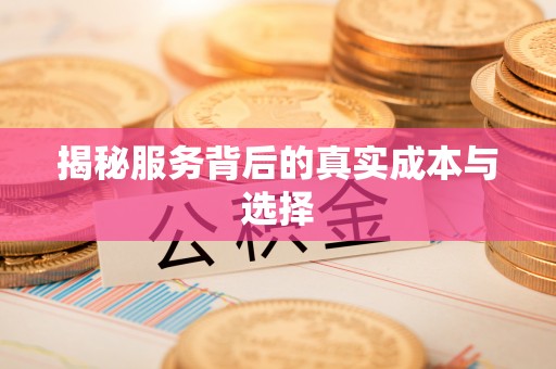 蒙自揭秘服务背后的真实成本与选择