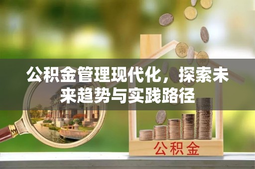 蒙自公积金管理现代化，探索未来趋势与实践路径