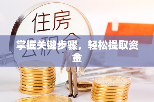 蒙自掌握关键步骤，轻松提取资金