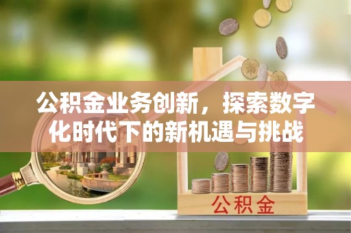 蒙自公积金业务创新，探索数字化时代下的新机遇与挑战