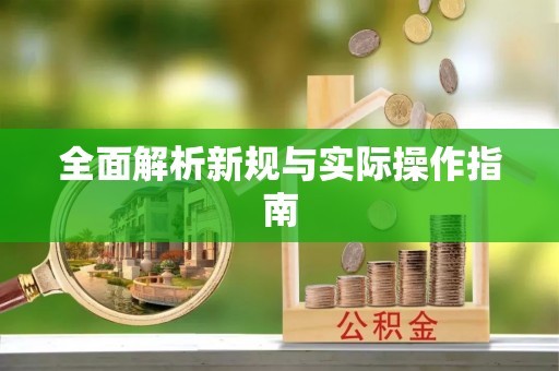 蒙自全面解析新规与实际操作指南