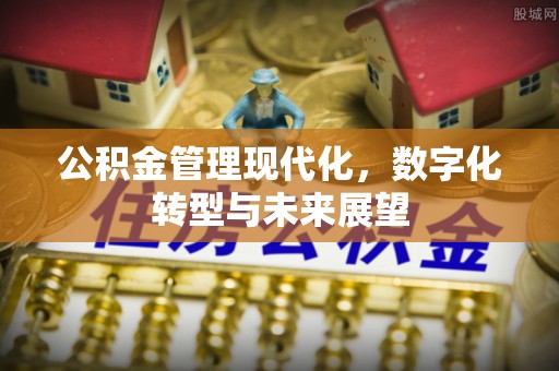蒙自公积金管理现代化，数字化转型与未来展望