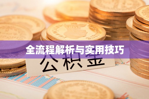 蒙自全流程解析与实用技巧