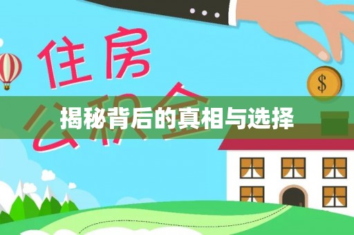 蒙自揭秘背后的真相与选择