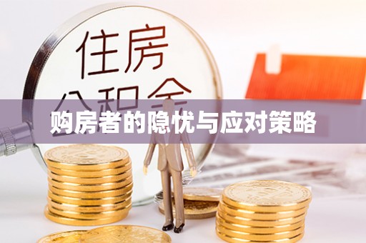 蒙自购房者的隐忧与应对策略