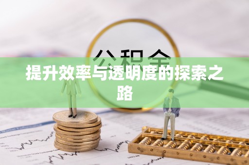 蒙自提升效率与透明度的探索之路