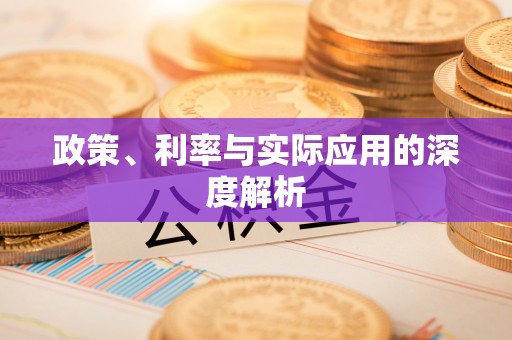 蒙自政策、利率与实际应用的深度解析