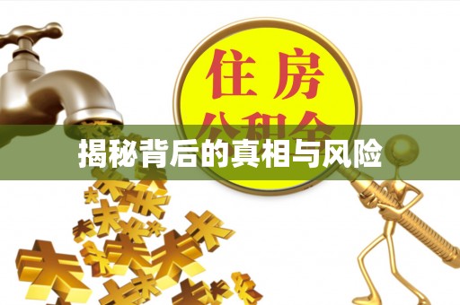 蒙自揭秘背后的真相与风险
