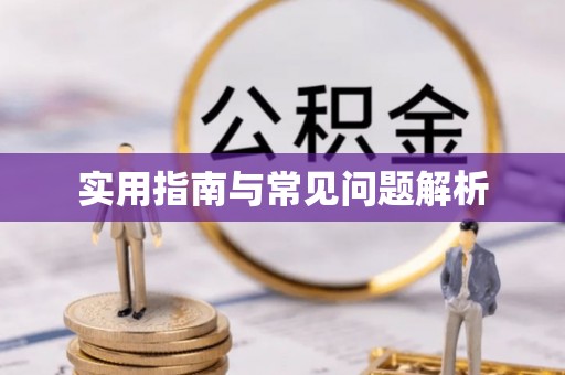 蒙自实用指南与常见问题解析
