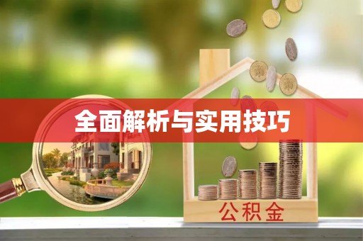 蒙自全面解析与实用技巧