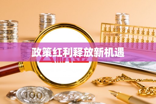 蒙自政策红利释放新机遇