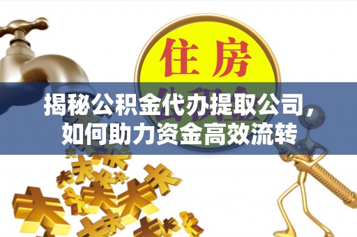 蒙自揭秘公积金代办提取公司，如何助力资金高效流转