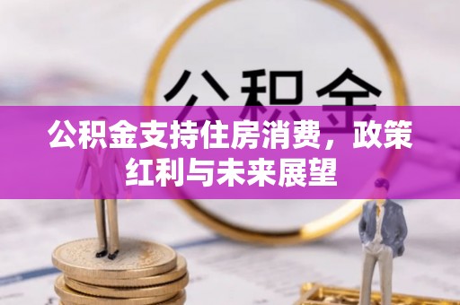 蒙自公积金支持住房消费，政策红利与未来展望