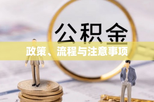蒙自政策、流程与注意事项