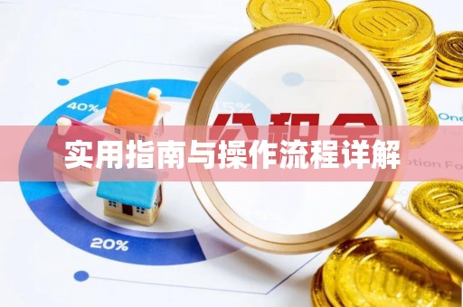 蒙自实用指南与操作流程详解