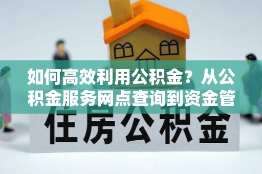 蒙自如何高效利用公积金？从公积金服务网点查询到资金管理全攻略