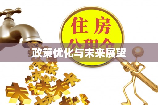 蒙自政策优化与未来展望