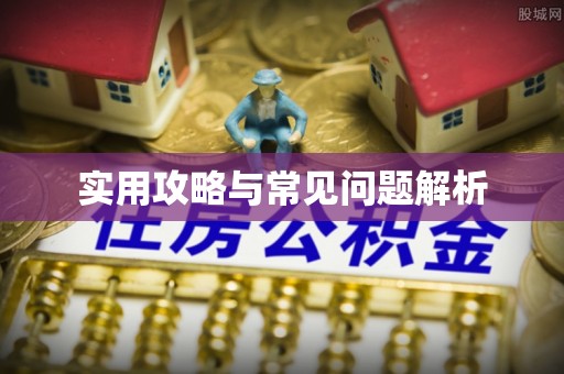 蒙自实用攻略与常见问题解析