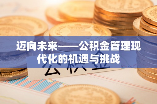 蒙自迈向未来——公积金管理现代化的机遇与挑战