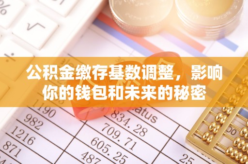 蒙自公积金缴存基数调整，影响你的钱包和未来的秘密