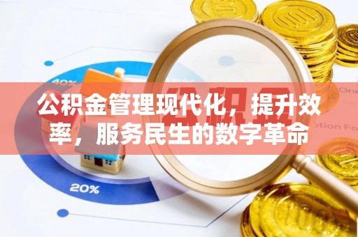 蒙自公积金管理现代化，提升效率，服务民生的数字革命