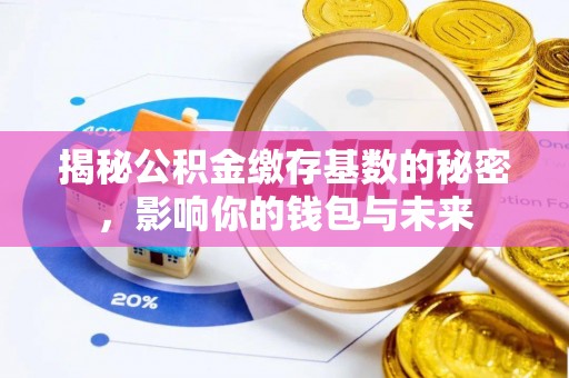 蒙自揭秘公积金缴存基数的秘密，影响你的钱包与未来