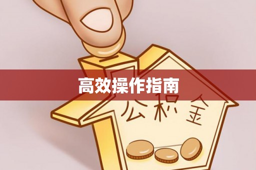 蒙自高效操作指南