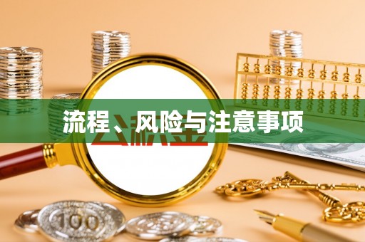 蒙自流程、风险与注意事项