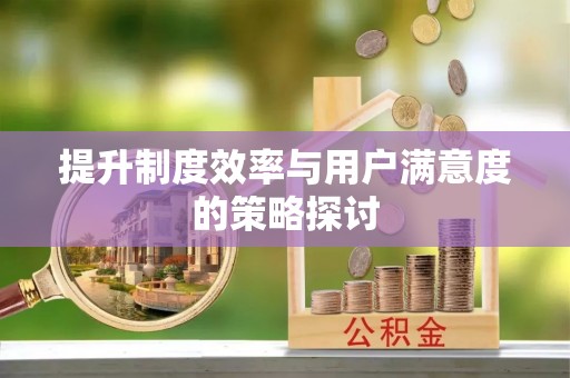 蒙自提升制度效率与用户满意度的策略探讨